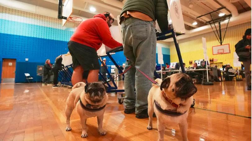 美国地方选举：局外人马姆达尼成为纽约市长热门人选特朗普呼吁票投科莫美国周二