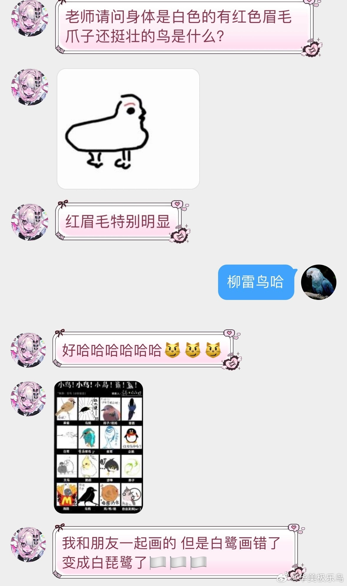 小天才的鸟类绘画接上条不是你们还真会啊？？？！画风怎么有种乌鸦变凤凰的