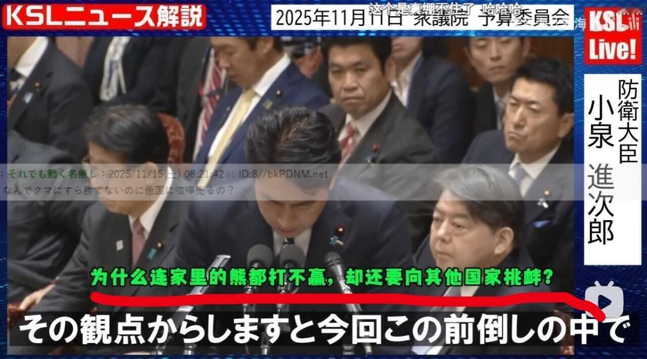 网友对小泉公子的评论还是很到位的