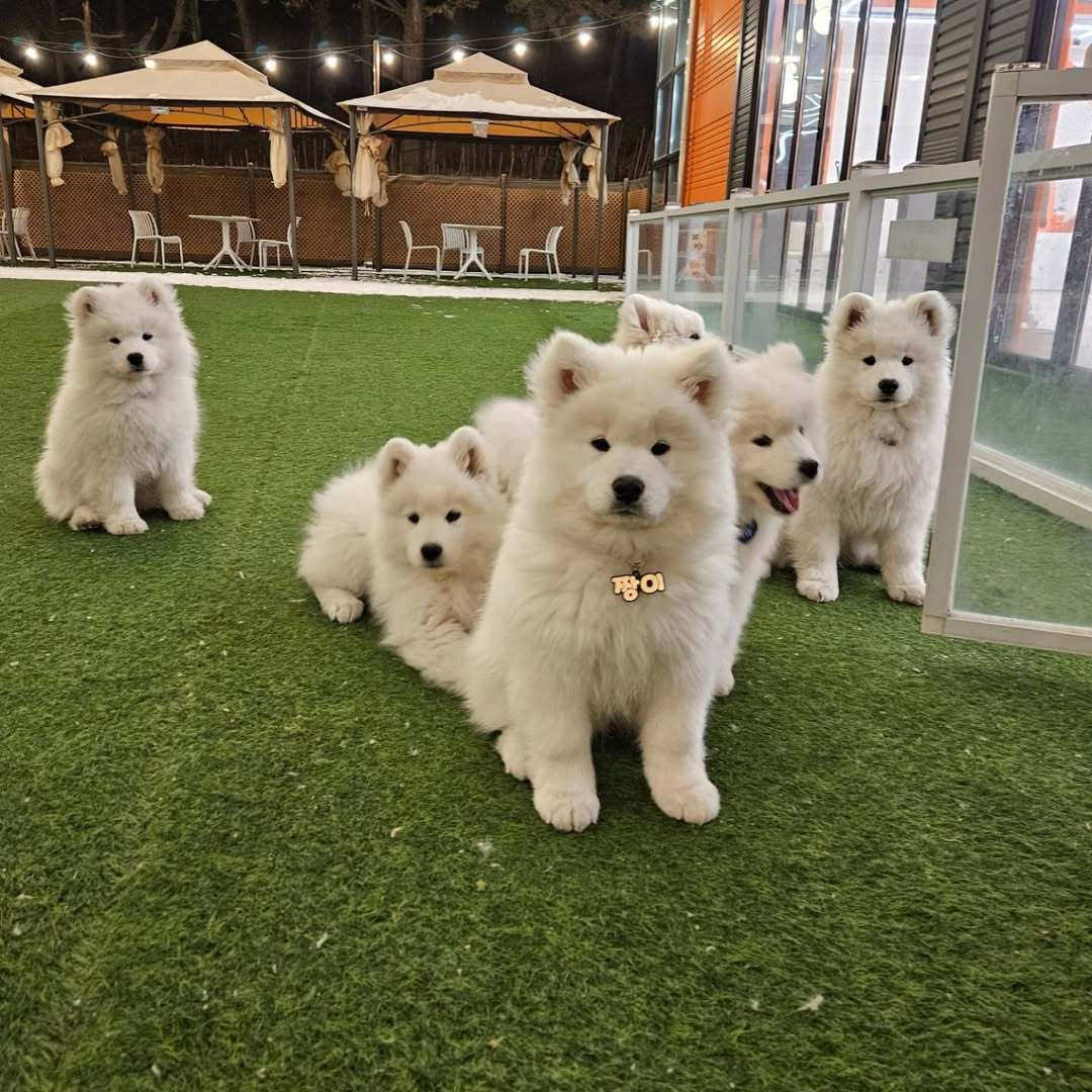 妈妈怎么还不来接我们耶
