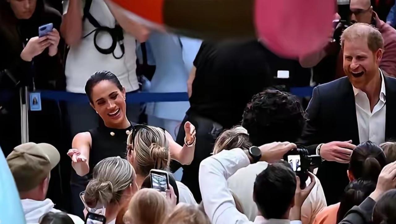 如果牠们不是往死里作的话，这些都本是牠们的日常！刷到哈里梅根在澳大利亚的活动