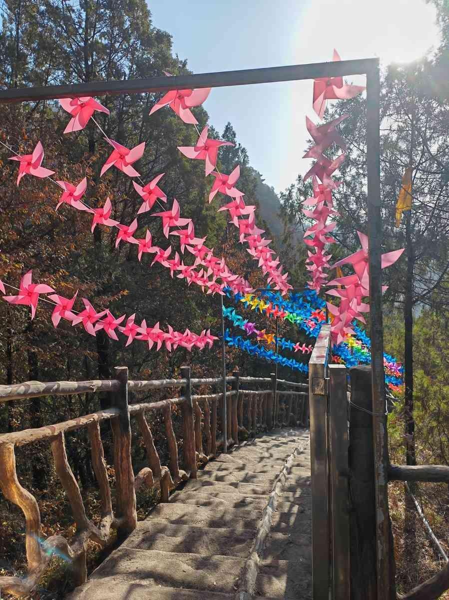 80.44一股。就这五个字，我对着那个申购页面，愣了好几秒。一股啊，就一股。