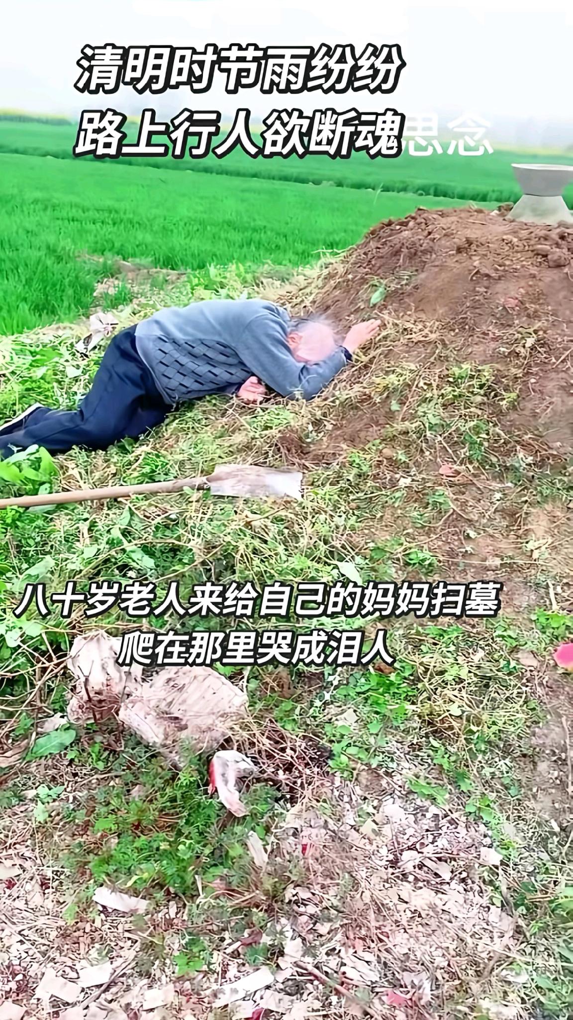 泪目，80岁老人非要给父母上坟，半小时的路，磕磕绊绊走了2小时，上完坟趴在坟