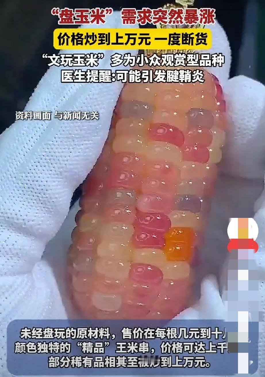 学过生物的都知道，玉米的颗粒色彩，是基因的转座形成的，具有极大的随意性，这就决定