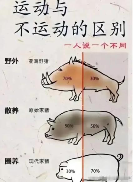 建议大家保持微胖身材当务之急应该是增肌有些人虽然体重小，但是体脂率35