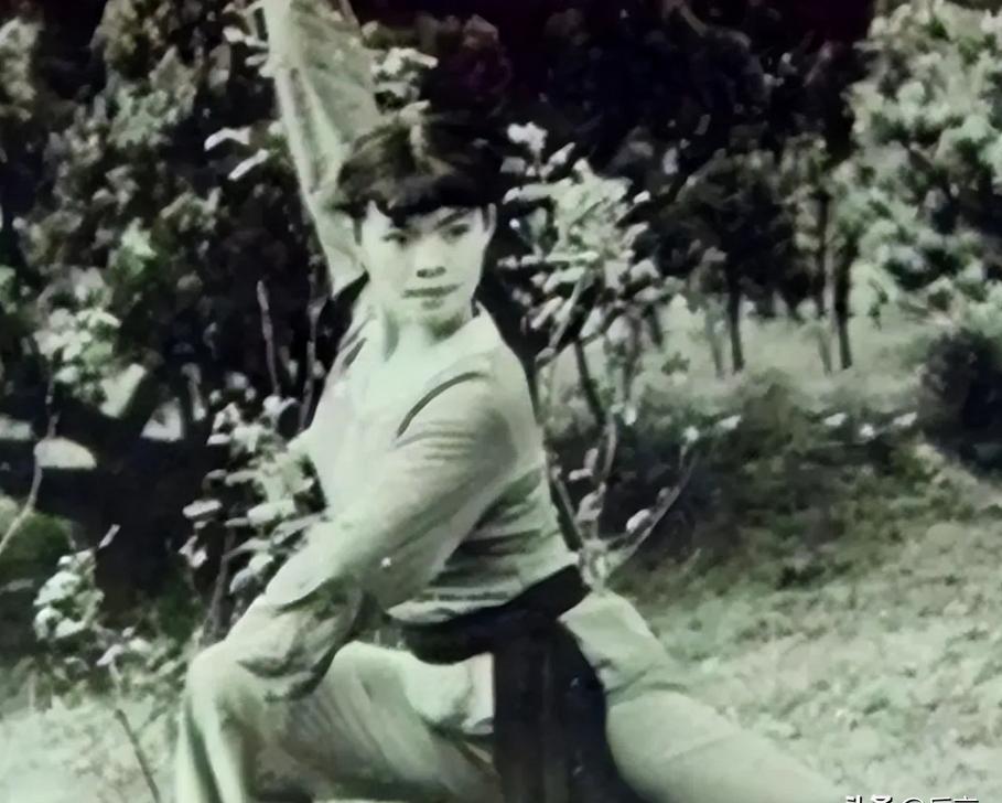 1968年，82岁的武僧宋九庵一时好心，收留了一名奄奄一息的女孩，并将一身功夫悉