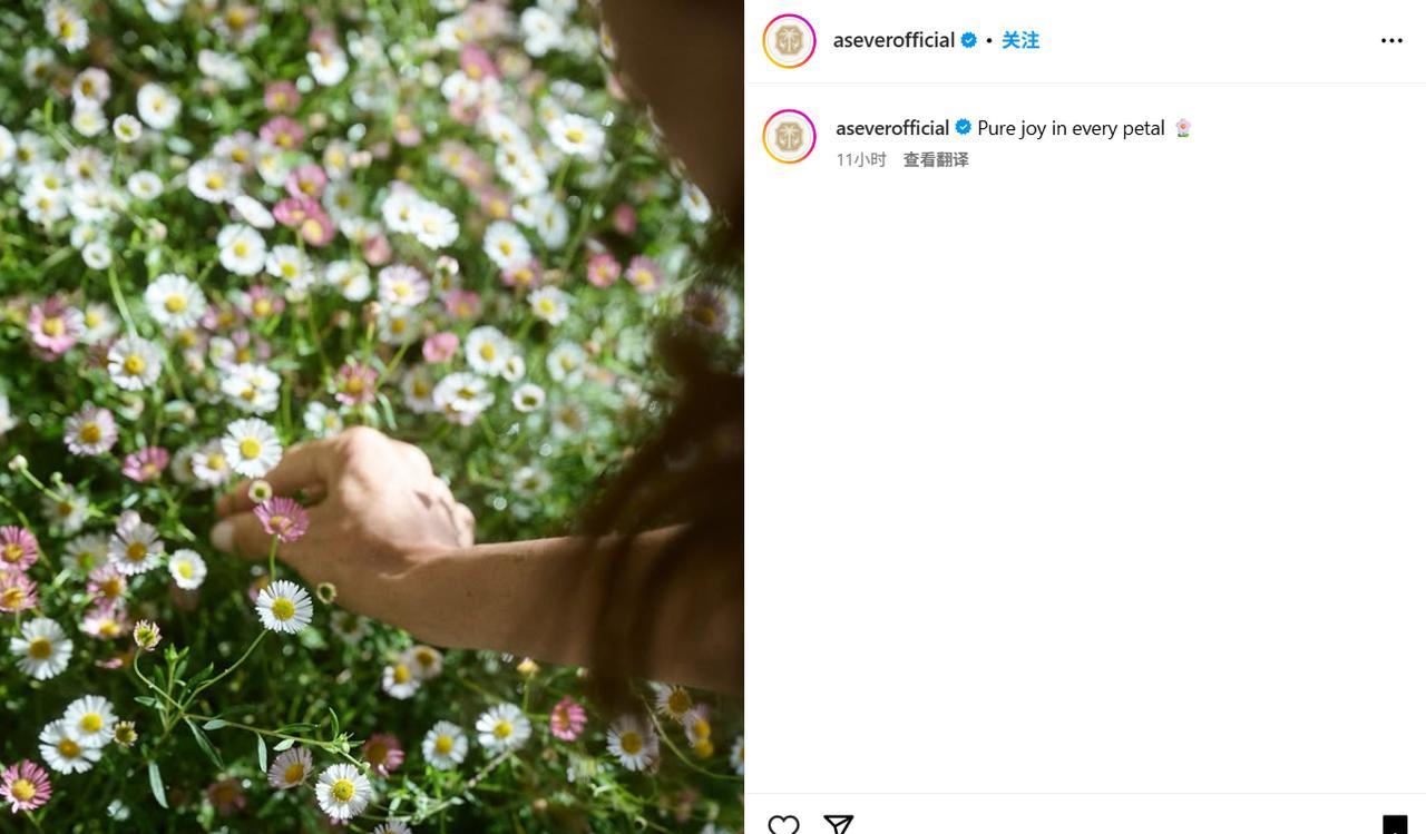 梅根·马克尔的“花漾人生”：从好莱坞到王室，每一片花瓣都是她的野心与争议！“P
