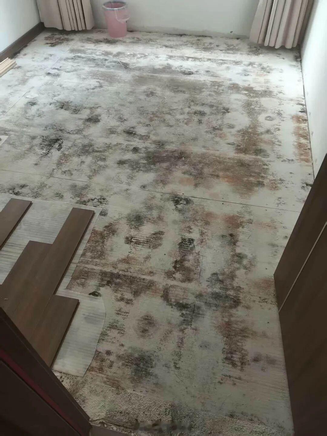 还是婆婆有经验，当初选婚房，我们相中了一套精装房，婆婆死活不同意，我还以为她