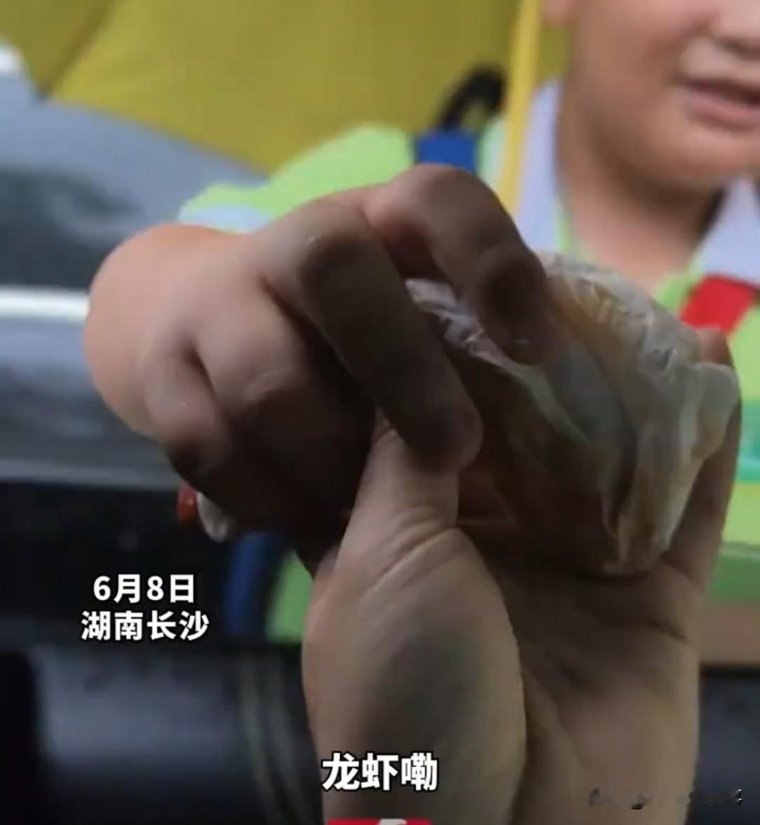 湖南一妈妈接儿子放学，儿子递来一团纸巾。打开一看，是2只小龙虾。"给妈妈吃的？"