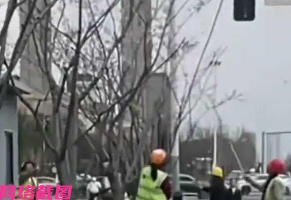 陕西西安有女子在路上，看到几名环卫工在用长杆打树枝上的花朵，女子不解其意，后知环