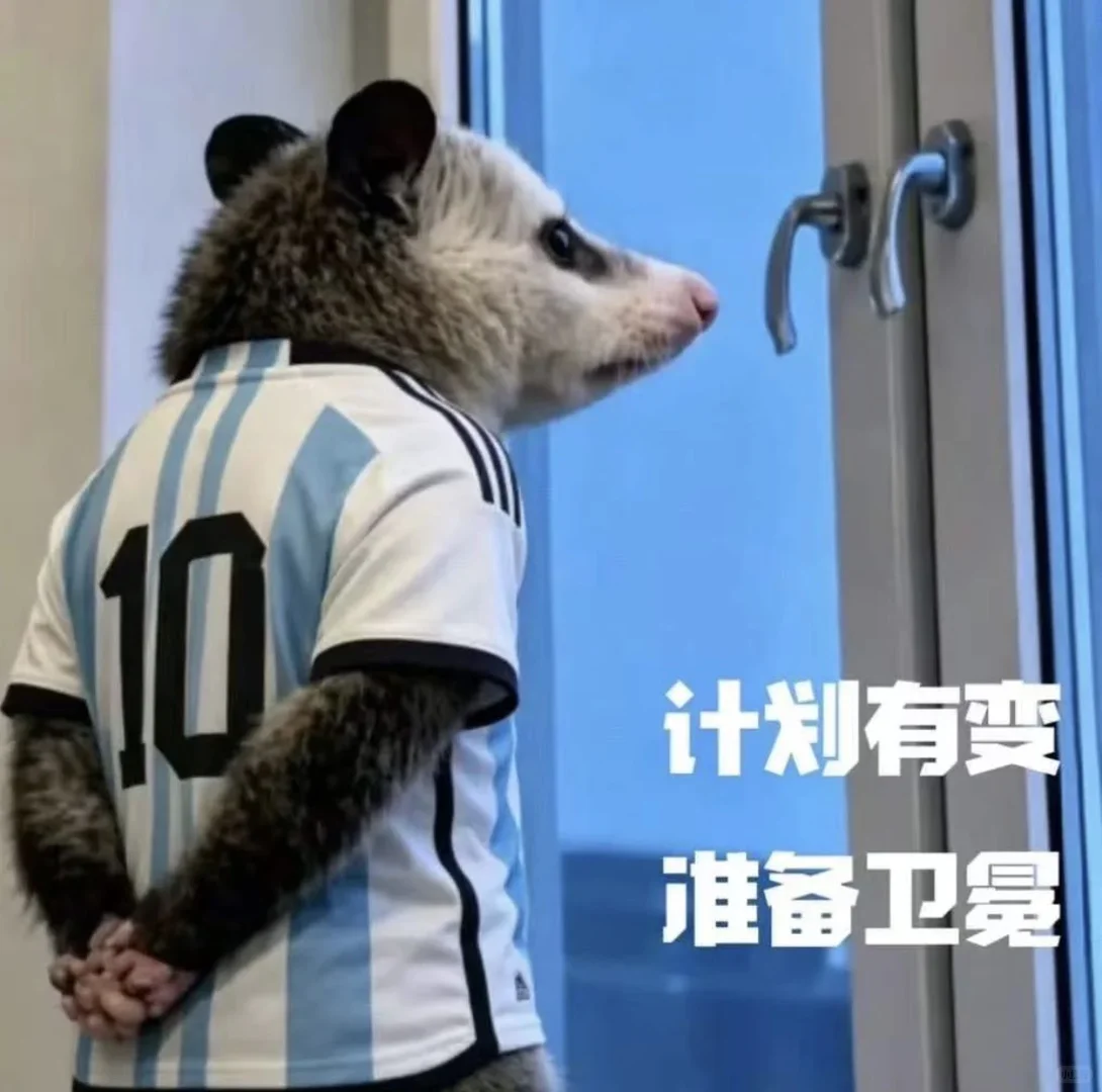存了这么久的图终于发出来了