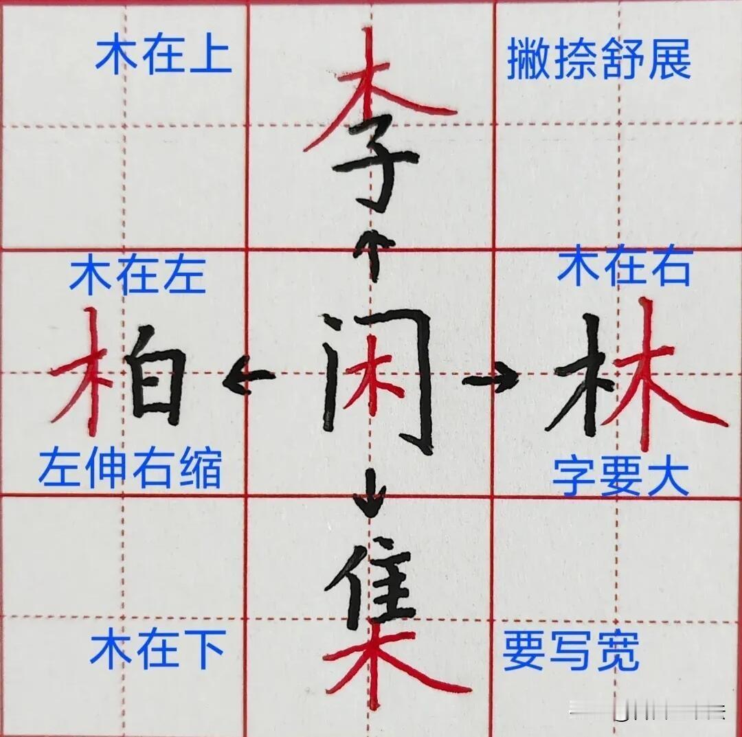 同一个偏旁，放上下左右，写法完全不一样！很多孩子练字只描红，忽略这个要点，字总写