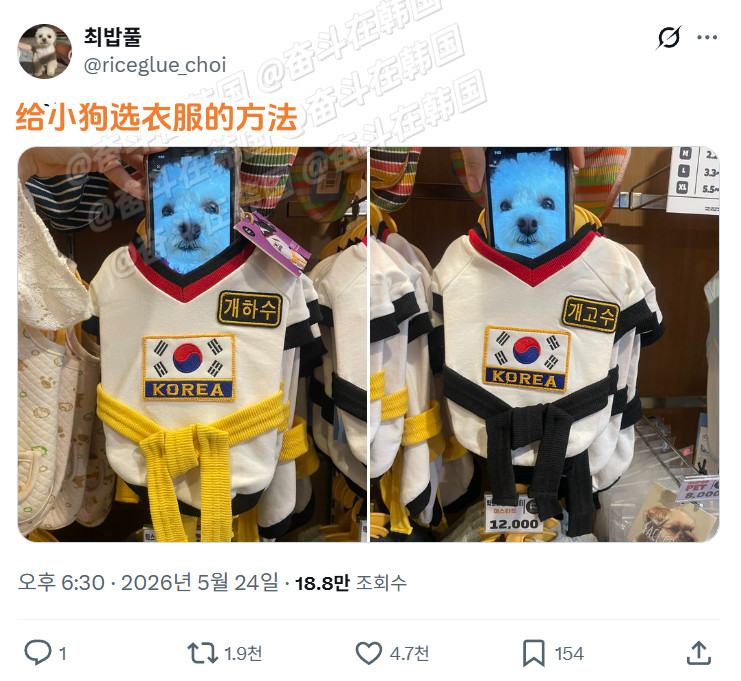 给小狗选衣服的方法海外新鲜事热点现场