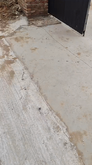 我们河北农村，现在已经开始挨家挨户上门查抄烟花爆竹了！工作人员手里拿着一个类似