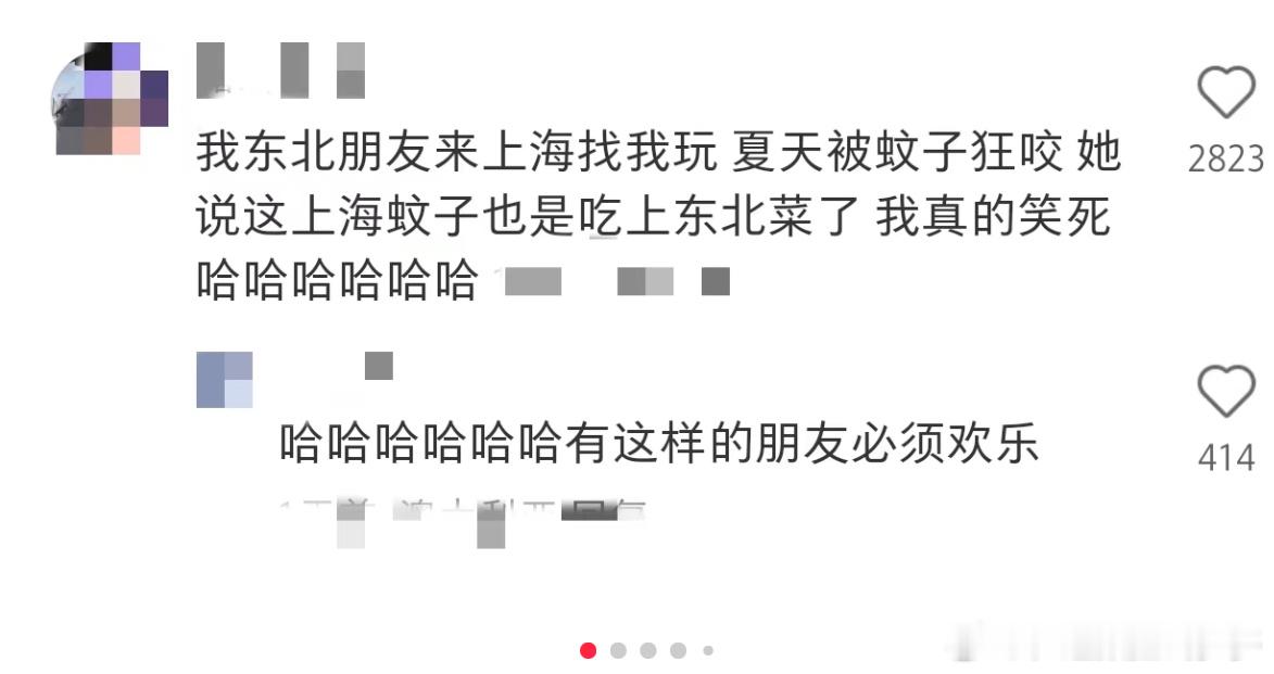 哈哈哈，真有趣，这两天饼满天飞，好多不怀好意的上窜下跳，拉踩魔改，唯恐🐟不乱，