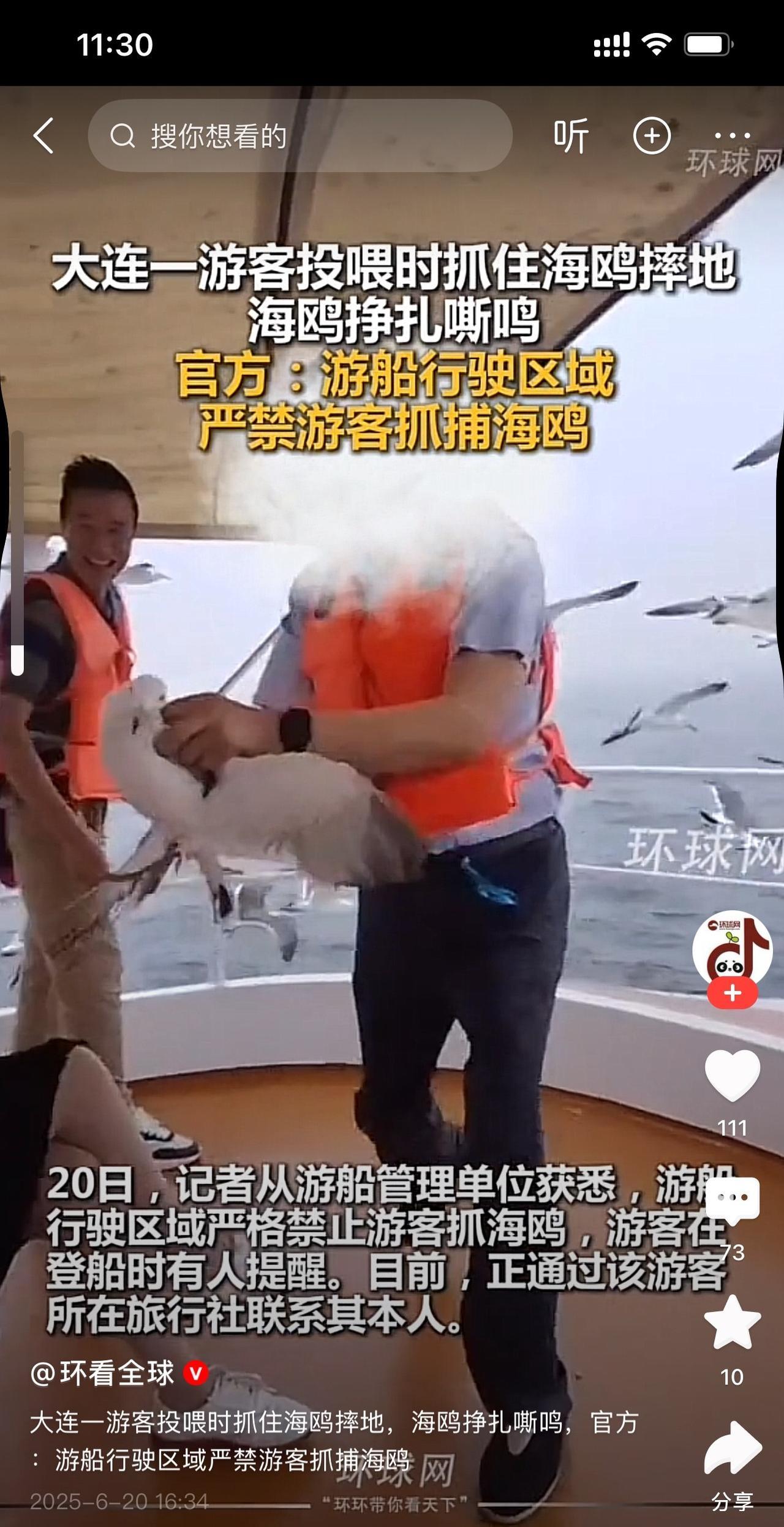 抓住海鸥往地上砸！这种人才应该重罚！这时候该需要环保部门出手了！这种人不仅手欠，