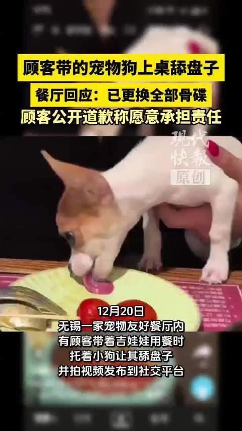 看来北京涮肉店狗上桌吃肉的教训还不够大！无锡，一女子带狗用餐时，让狗舔盘子，发到