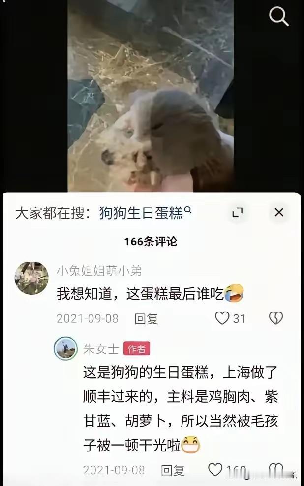 朱女士受害人的人设备受争议，她居然给狗在上海定制豪华生日蛋糕，之前的家庭主妇人设