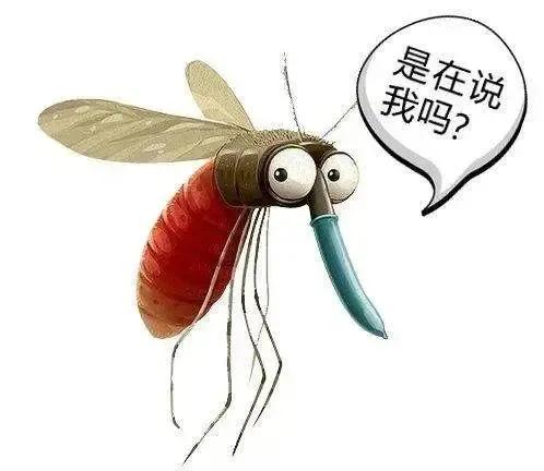 我出来散步，喷了6神驱蚊花露水，可是走在路上还是会有蚊子来叮。这蚊子叮完之后