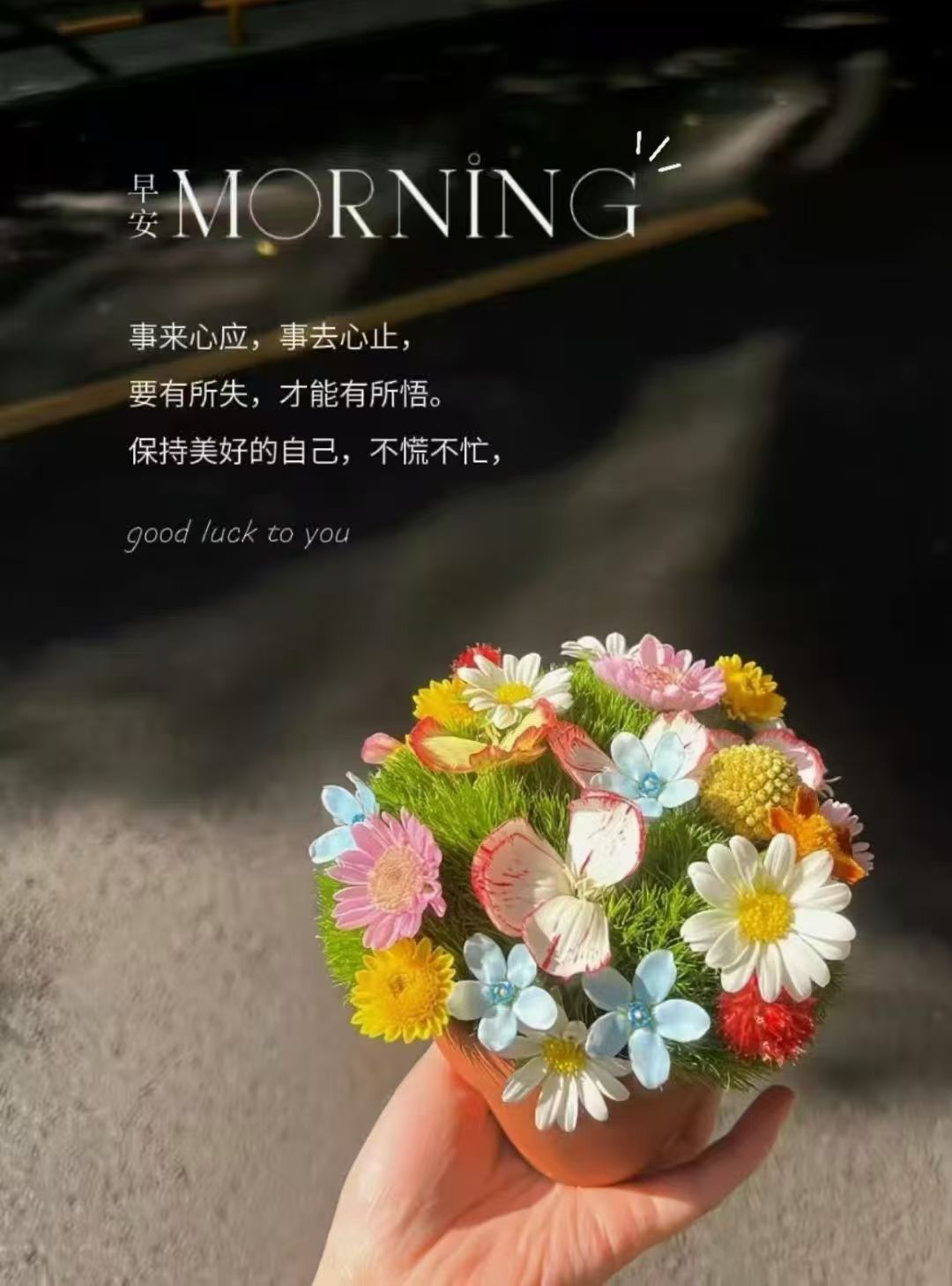 生活，没有十全十美，花开成景，花落为诗，入眼是风景，入心是人生，知足，感恩，微笑