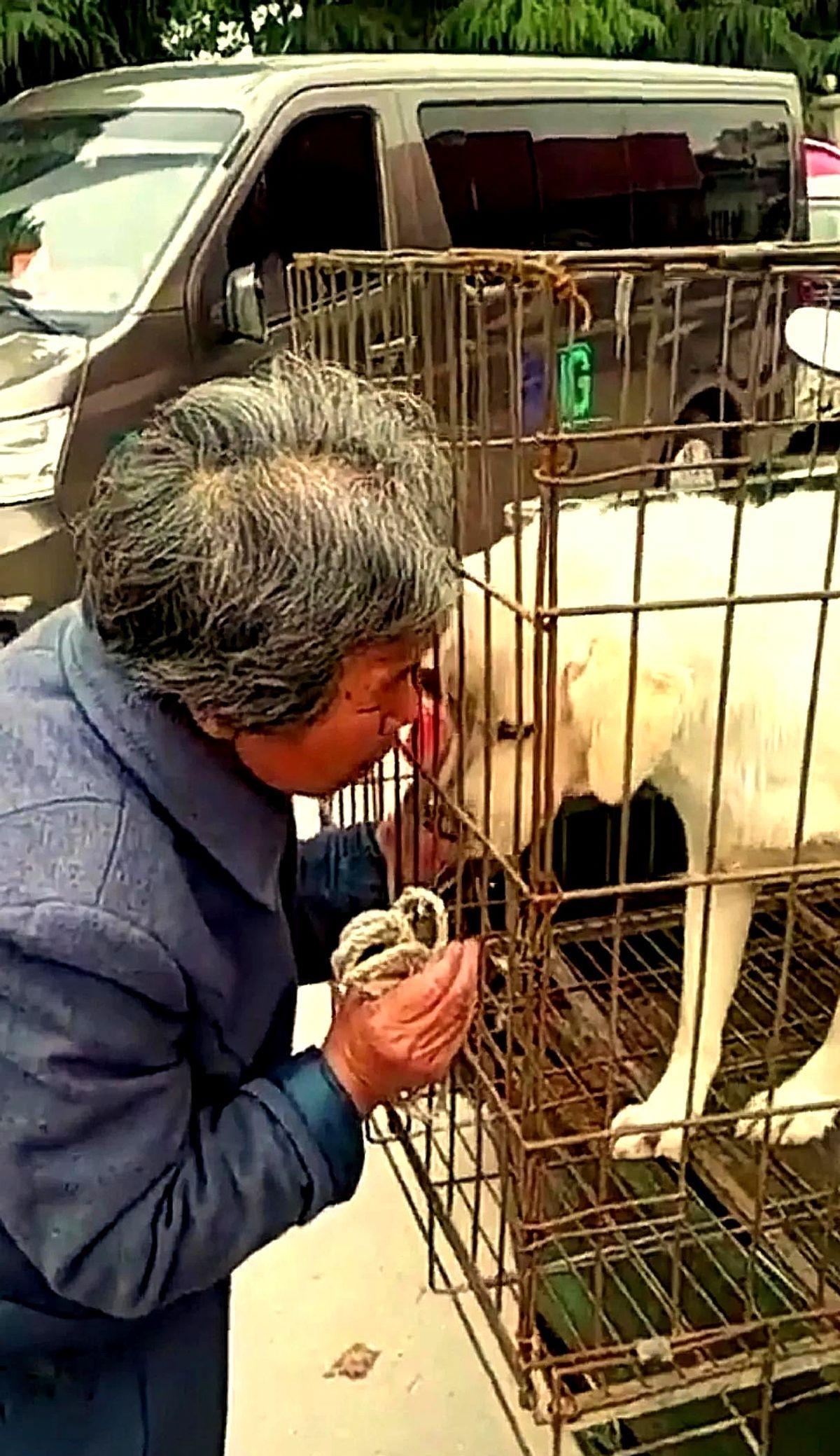 老奶奶因为生活上的困难，把自家狗狗“毛毛”拉到了狗市上卖给了狗贩子，奶奶的穿着也