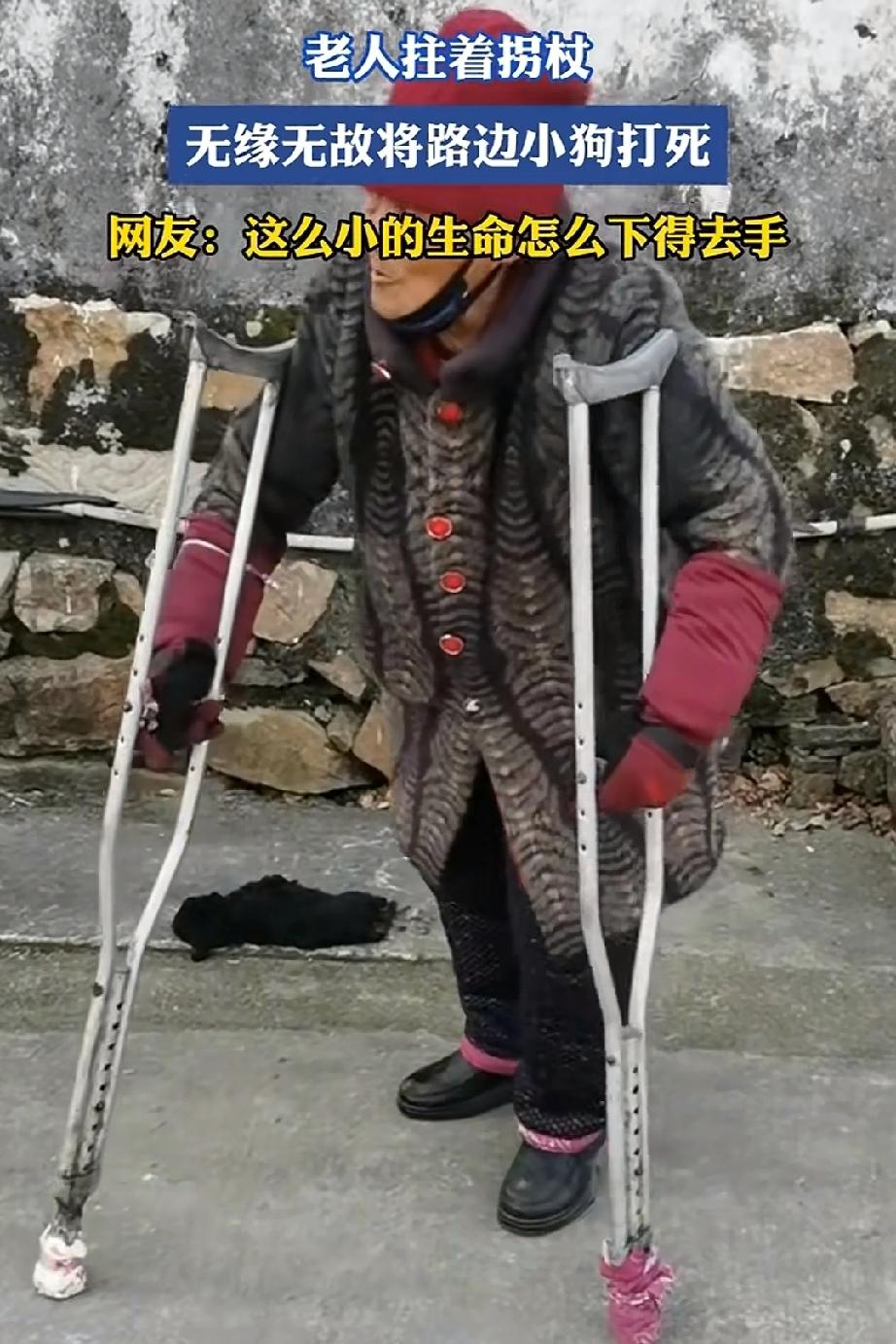 太残忍了！好歹也是一条小生命，才多大点小狗啊！就被活活打死，怎么下的去手。