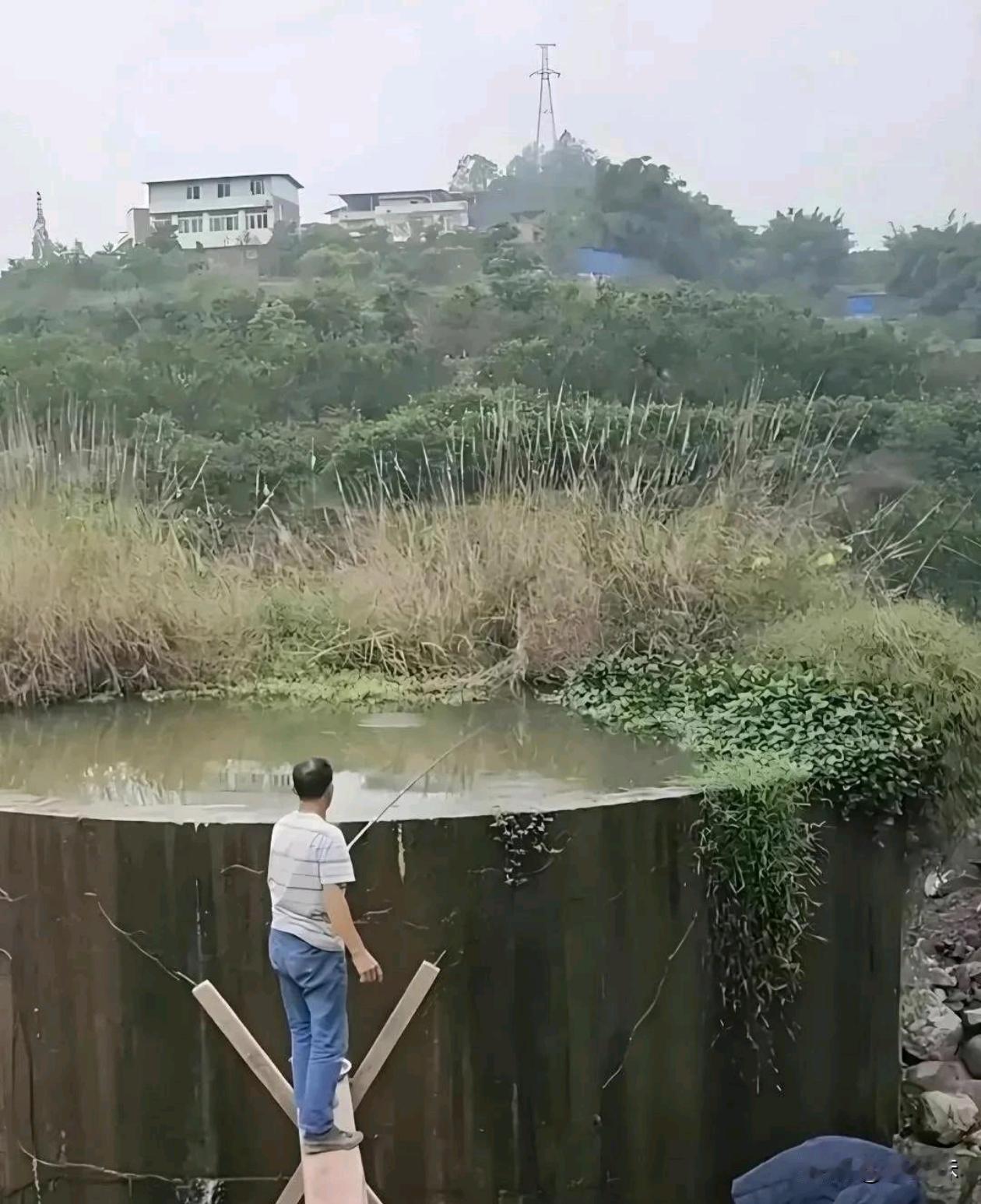 这大爷是怎么知道这里面有鱼呢？