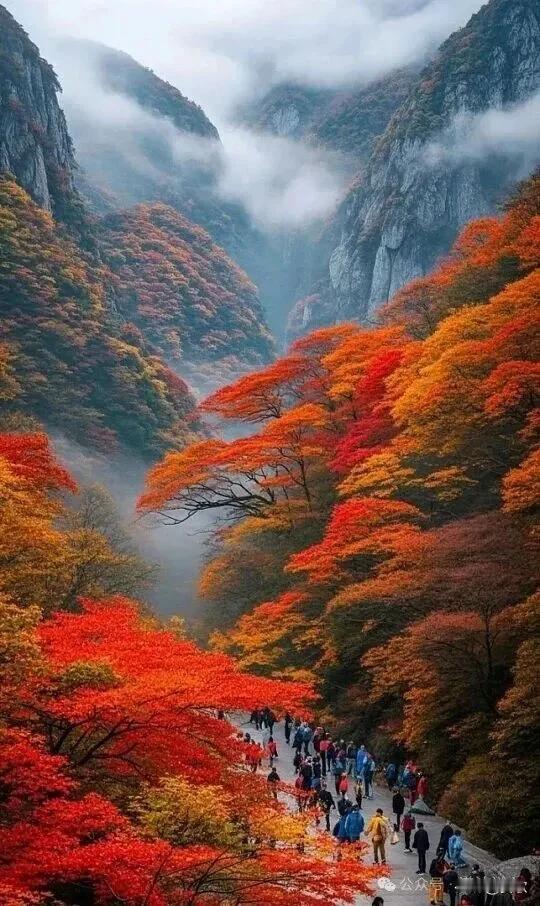 上联:窗含春夏秋冬景下联:胸怀江河湖海图横批:胸怀天下