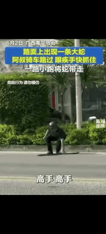 大哥看了一眼，晚上的蛇羹都想好了。