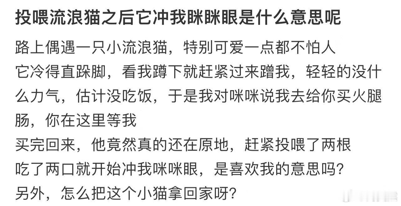 投喂流浪猫之后它冲我眯眯眼是什么意思呢❓