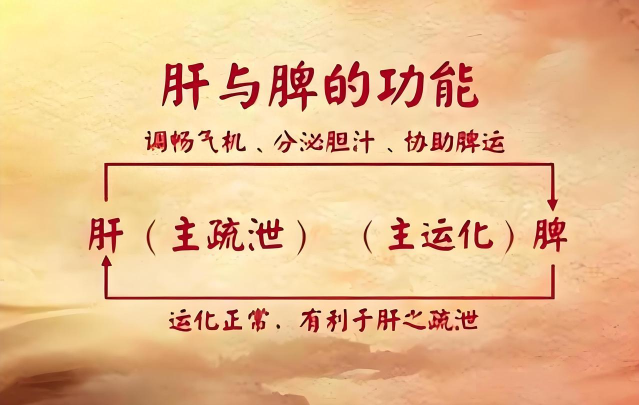 脾虚就是三处堵死！三味药煮水，脾不虚、湿气消、全身通我是陈大夫，先讲透核心：脾