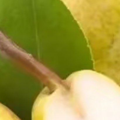 梨的种植方法一、土壤与环境：梨适宜种植在土层深厚、肥沃、排水良好的土壤中。光照要