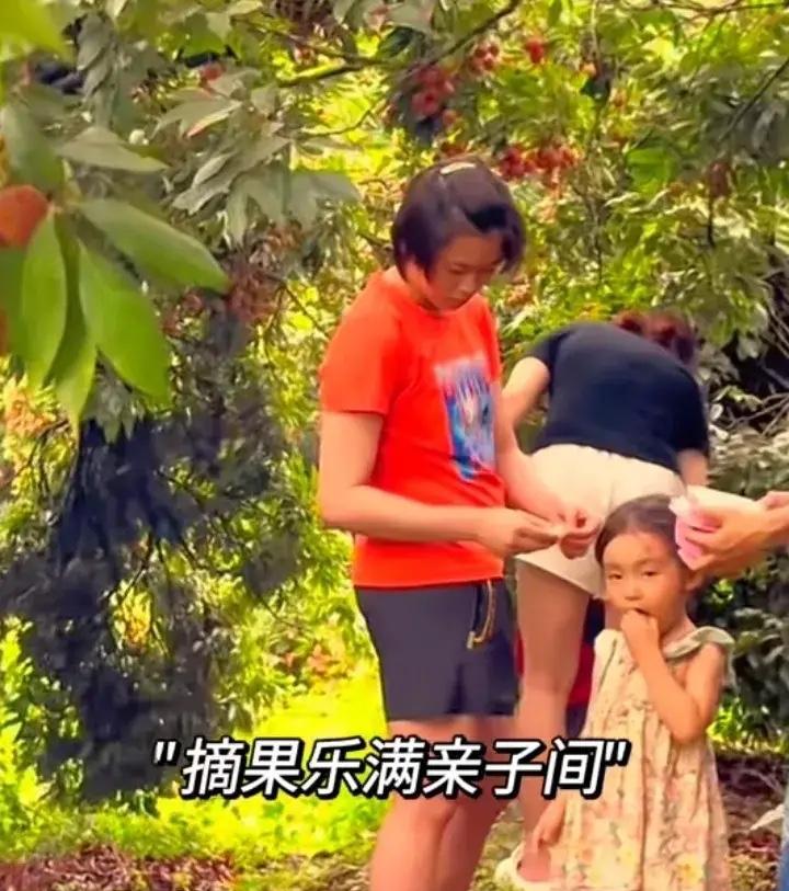 全红婵又回老家了，但心里面却高兴不起来。我一直在关注全红婵，因为我是嫌宝的铁杆