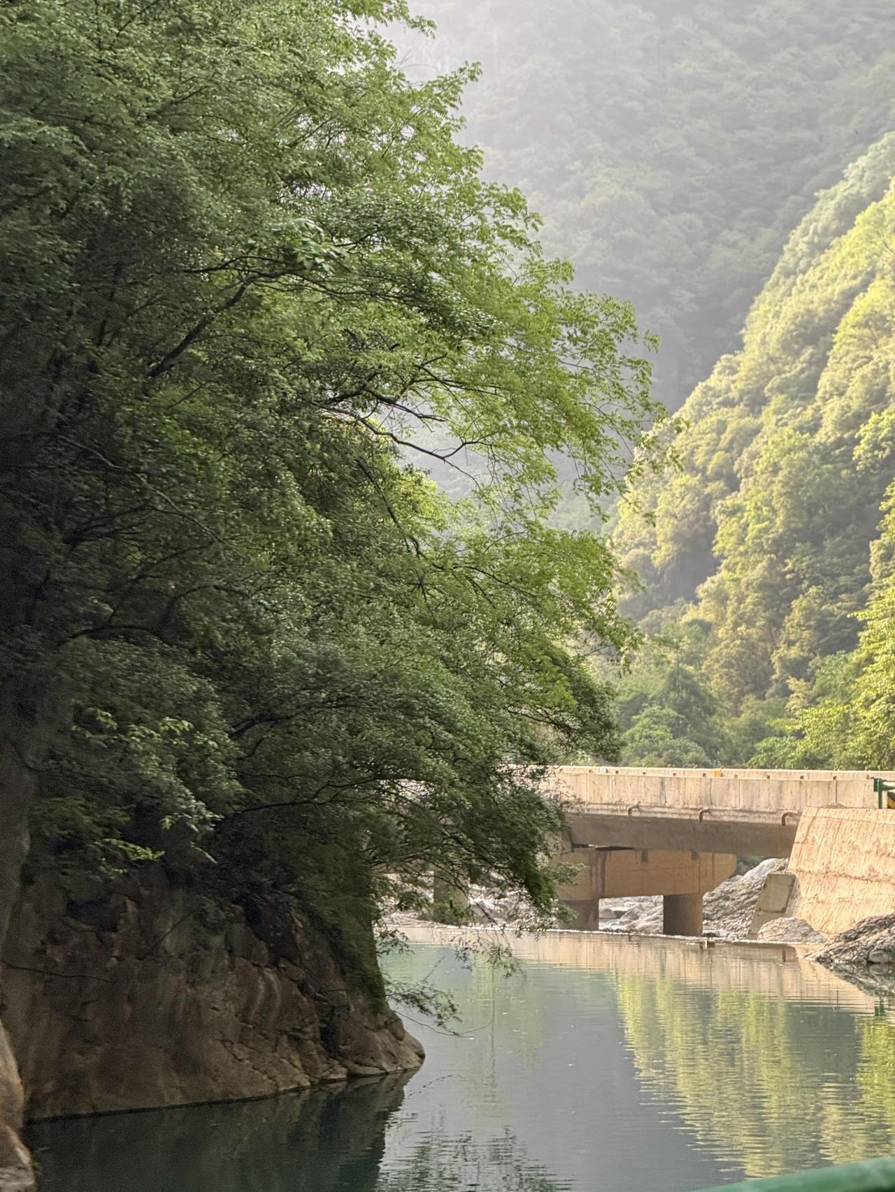 如果把秦岭比做连绵麦田，那么汉中盆地和徽成盆地，如同两个倒伏的麦圈。这种地形在古