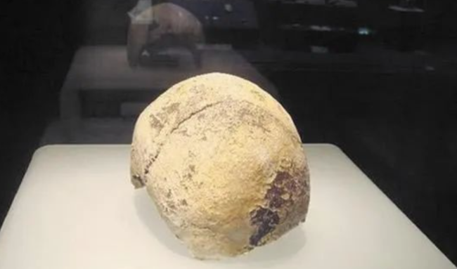 1997年，武汉环保局干部毛凑元到长江边晨练，突然发现一块像骷髅的怪石，于是捡回