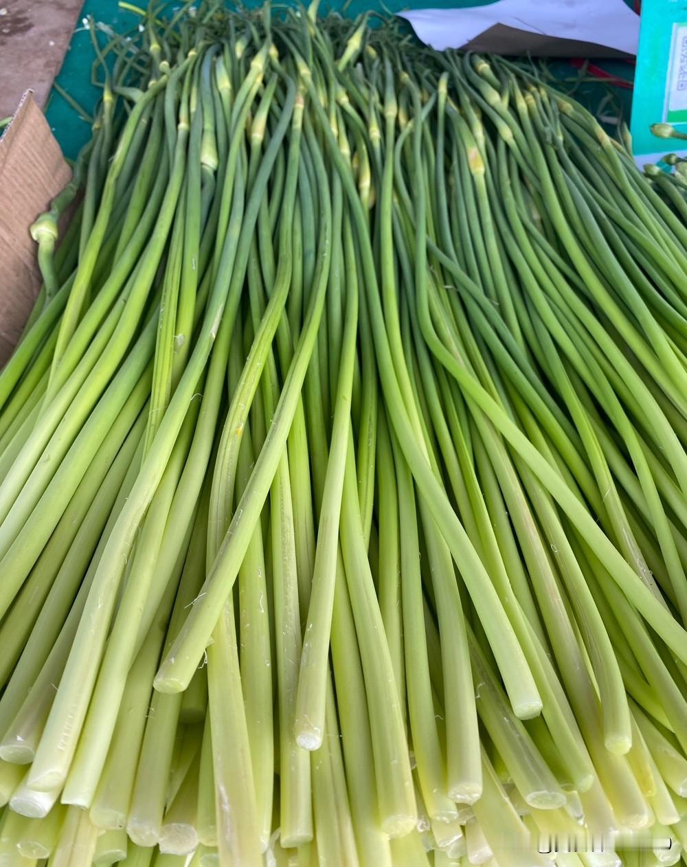 看看节日里的沈阳市场蔬菜价格：蒜苔：7元甘蓝：2元青椒：3.5元水黄瓜