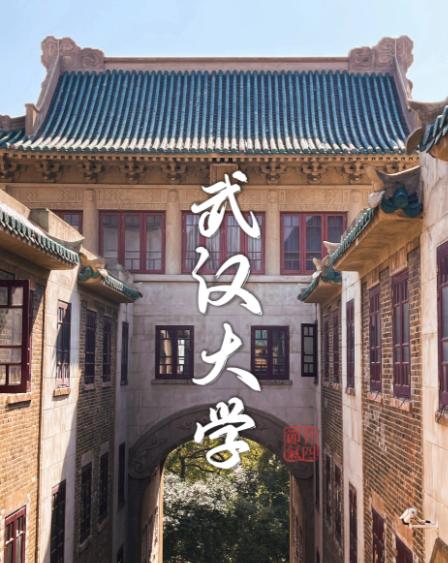 武大处分优秀学生都是故意的！只为了空出保研名额肖同学和张同学，两个优