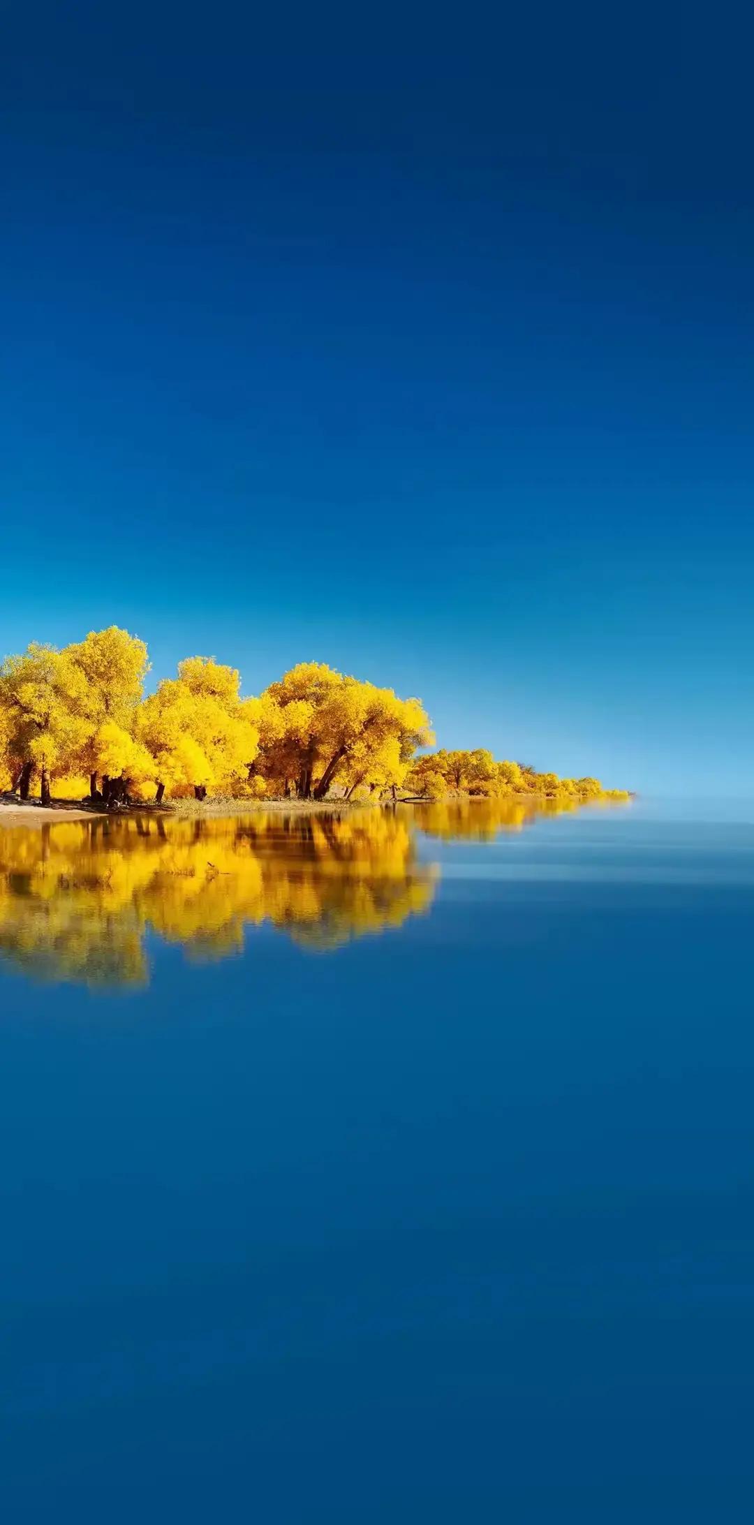 柔式spa为什么这么火？因为他用一块遮羞布把很多老男人给盖住了。我在后台收到一