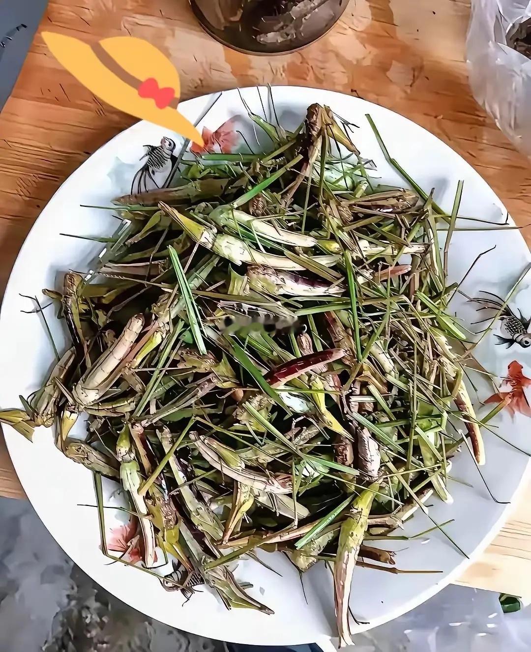 有吃过的举手，好吃不？