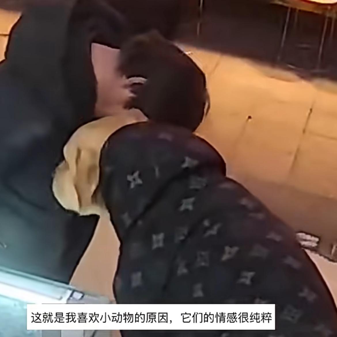 看哭了！流浪汉摸了店家的狗狗后，掏出10元钱被拒收，他说：“我知道摸狗不要钱，但