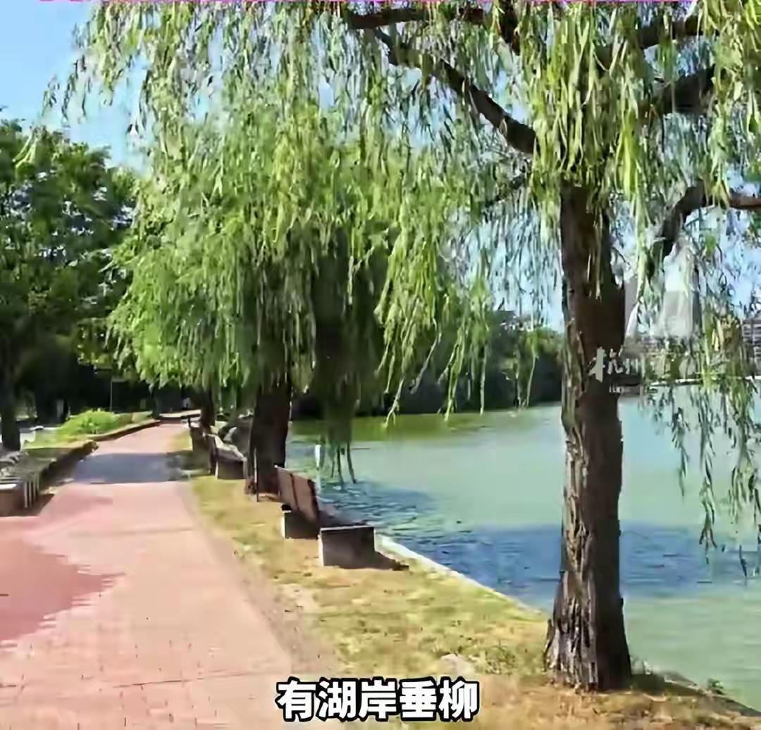 “一车杭州人下车蒙了！”有博主称日本公园疑似复制西湖，还有断桥和苏堤；浙江网友：