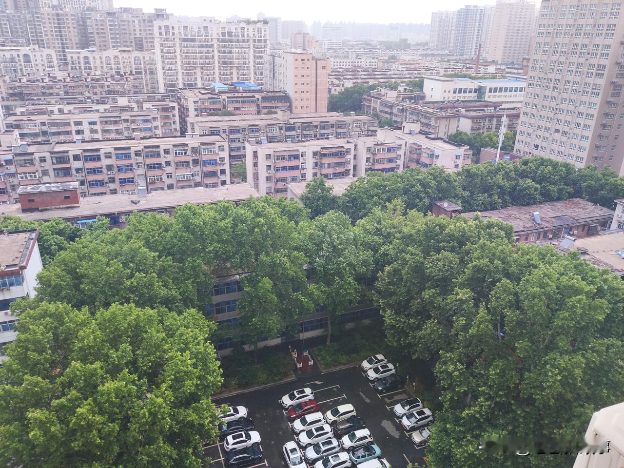今天下午五点左右，郑州的这场进入2026年夏天的第一场雨还是下来了！而且是下的那