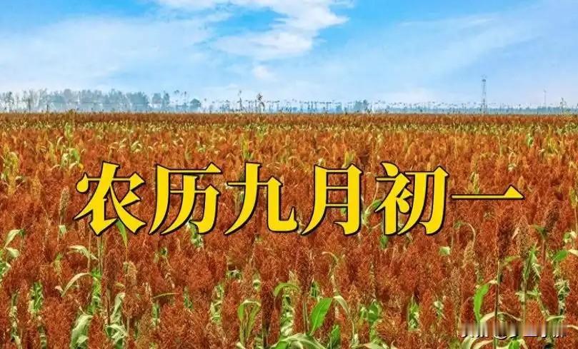 明天九月初一，老话“初一吃三样，一年无病殃”，是哪三样？时序流转，转眼就到