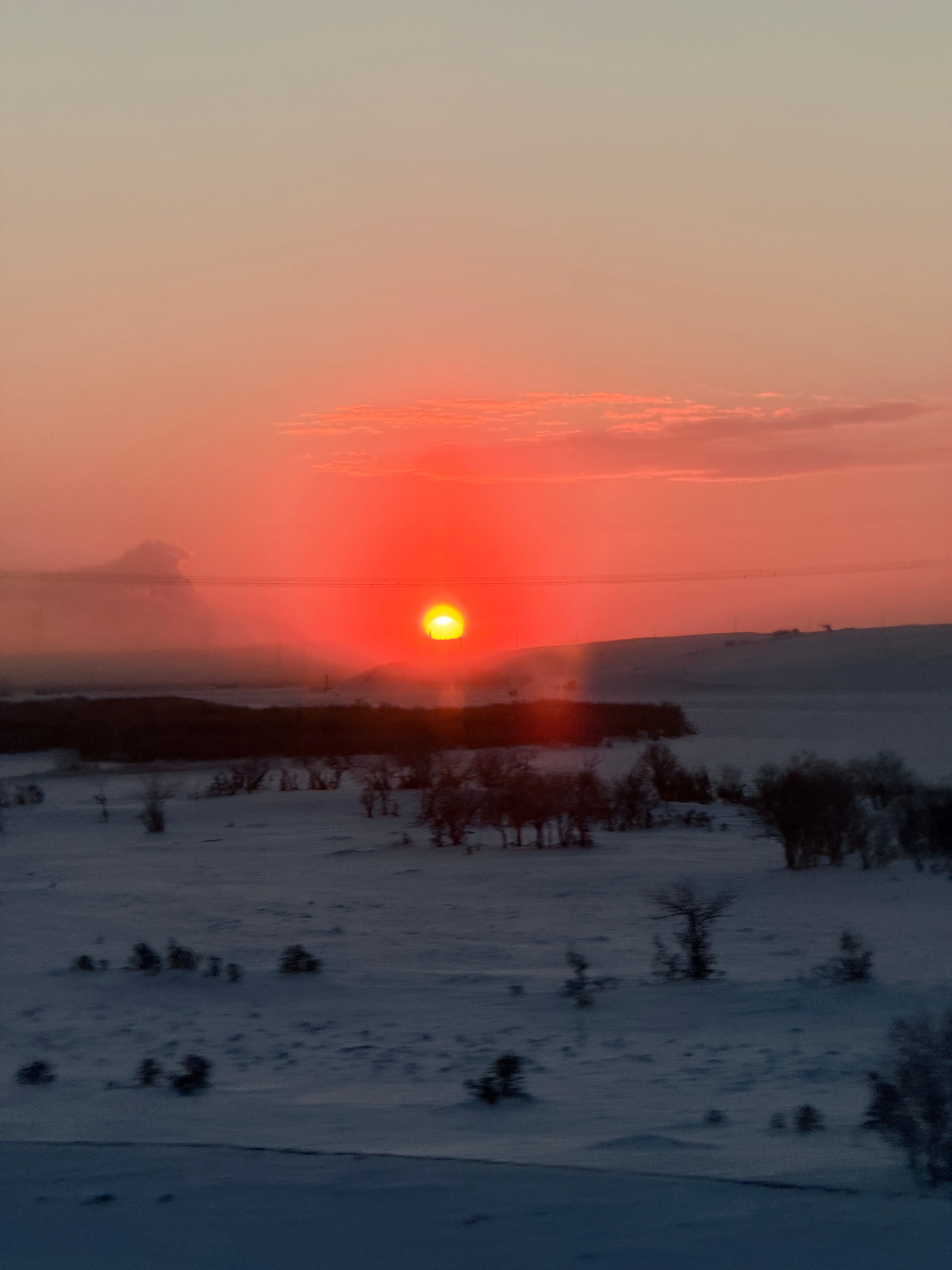 2025道个别今年太快了、太忙了、太有收获了，你们呢？呼伦贝尔