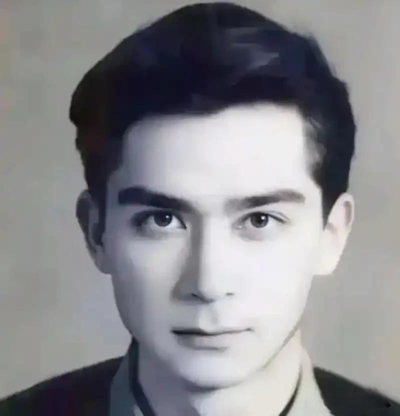 1963年，王德民院士年轻时因为长得太英俊，被无数女孩追求，为此，烦恼的他提出了