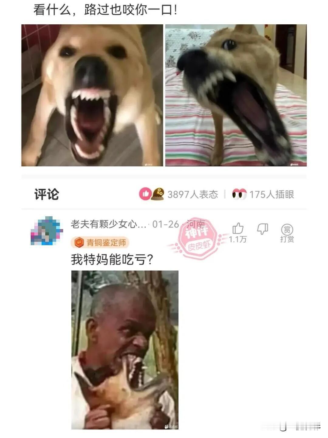 干完活发现大妈手里都是老年机[捂脸哭][捂脸哭][捂脸哭]