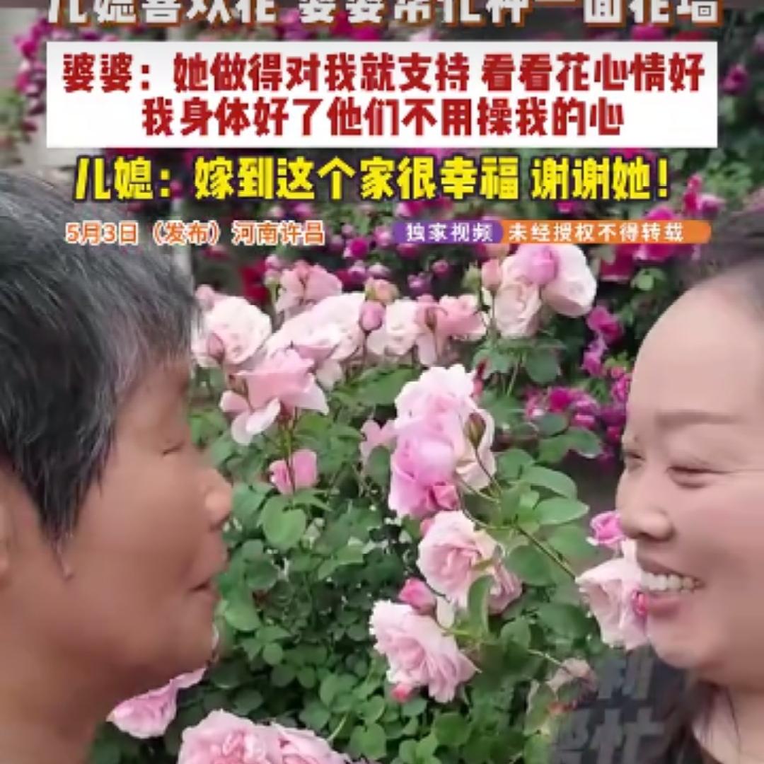 谁能想到，最让人羡慕的神仙婆媳，就藏在河南许昌的普通小院里。只因儿媳平日里