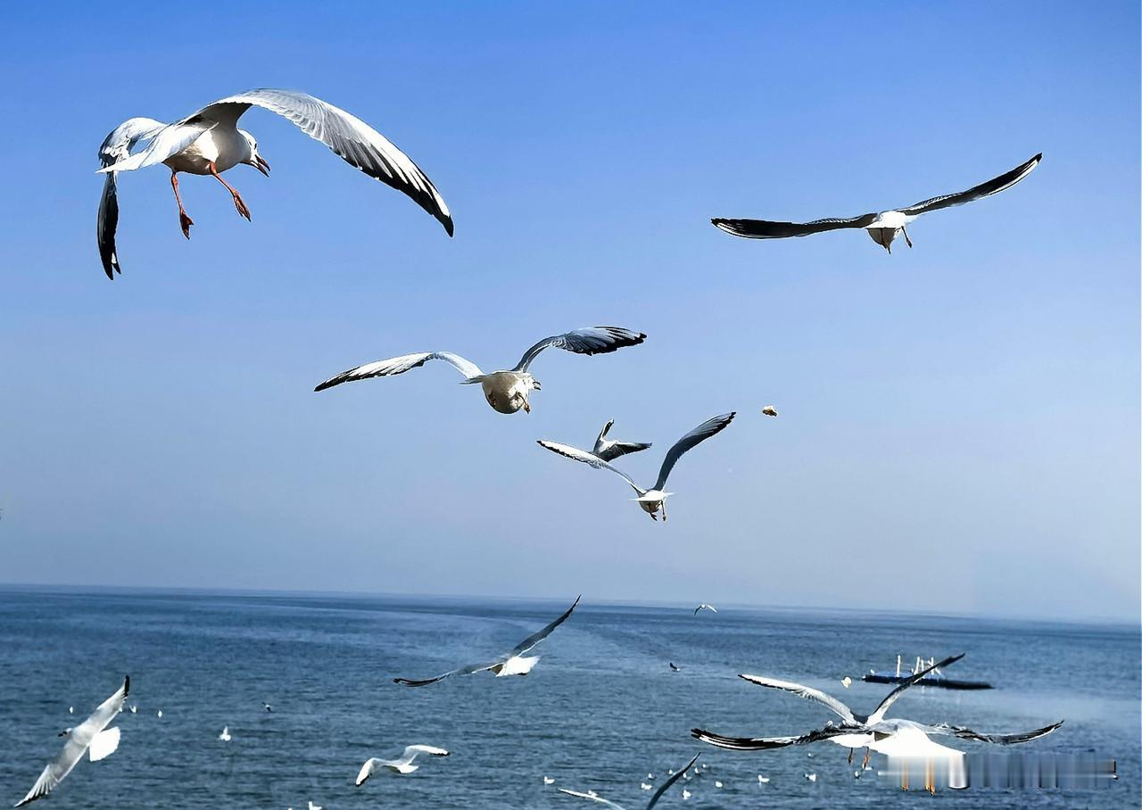 要说今年最值得一笔花费，当然是为期14天的新疆旅游喽。花了多少呢？新疆那么美