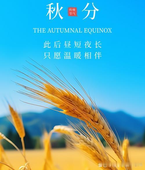 今日秋分，平分昼夜，平分秋色。“一场秋雨一场寒”，暑气消散，秋风带来丝丝凉意。田