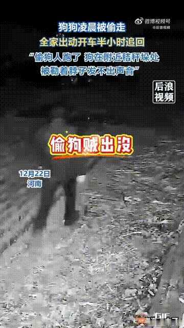 河南一名男子趁着凌晨时分，去到一户人家家里偷狗，谁料声音惊醒了主人，于是主人全家